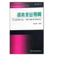 [正版二手]资本支出预算/现代企业预算管理丛书
