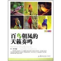 [正版二手]百鸟朝凤的天籁奏鸣
