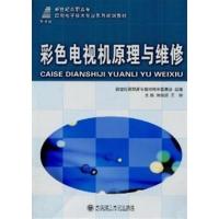 [正版二手]彩色电视机原理与维修