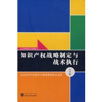 [正版二手]知识产权战略制定与战术执行