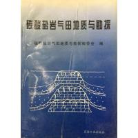 [正版二手]碳酸盐岩气田地质与勘探