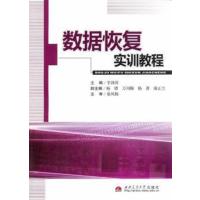 【正版二手】数据恢复实训教程