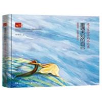 [正版二手]重遇未知的自己