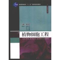 [正版二手]植物细胞工程
