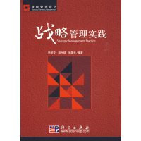 [正版二手]战略管理实践