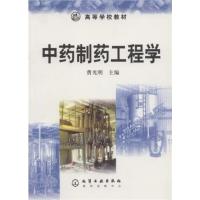 [正版二手]中药制药工程学