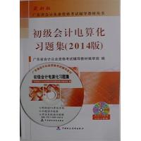 [正版二手]初级会计电算化