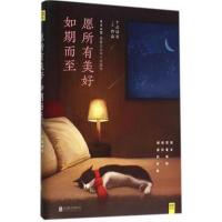 [正版二手]愿所有美好如期而至