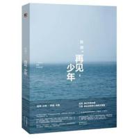 [正版二手]再见,少年