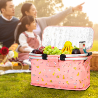 户外保温包可折叠野餐篮闪电客ins风冰包大容量冷藏箱手提便当饭盒袋