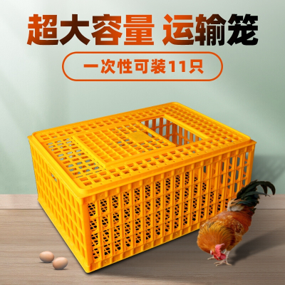 理线家鸡笼塑料周转箱成鸡鸭鹅运输筐工具箱加厚大码鸡笼鸡鸭鹅鸽笼周转