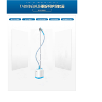 苏泊尔挂烫机15Z07C