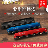 奇美口琴初学者高级成人儿童24孔专业复音c调口风琴入自学乐器