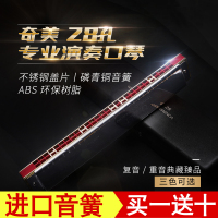 奇美音簧口琴28孔复音重音C调初学者 成人准专业演奏儿童乐器