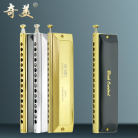 奇美半音阶口琴12孔48音16孔初学者c调学生黑霸王专业演奏级口琴