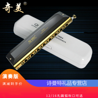奇美半音阶口琴12孔48音初学者c调成人专业演奏级16孔半音阶口琴