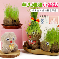 抖音同款草头娃娃创意迷你小绿植室内盆栽植物幼儿园儿童小礼物