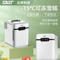 SAST车载迷你小冰箱mini宿舍出租房小型母乳单人用冷藏箱车家两用