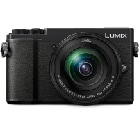 松下Panasonic数码相机 LUMIX GX9系列 无反光镜 ILC 相机机身 带12-60mm