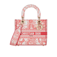 迪奥Dior Lady D-Lite 中号单肩包 代购女式刺绣专柜 Christian Dior Paris 签名