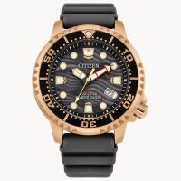 Citizen 西铁城 Promaster Dive运动潜水手表光动能计时日期显示 BN0163-00H