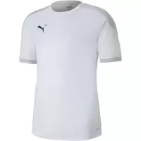 彪马(Puma)透气修身运动训练 Polo 衫男款时尚吸汗速干比赛打底衫