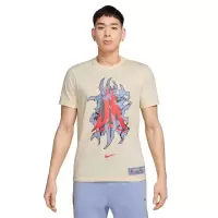 Nike经典版型男士篮球休闲短袖T恤男款潮流百搭