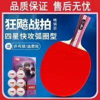 红双喜(DHB)乒乓球拍单拍四星专业级狂飙4星儿童小学生直横兵乓球拍1只