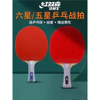 红双喜(DHB)乒乓球拍六星专业级6星五星学生兵乓单拍马龙狂飙四星双拍