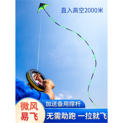 迈高登风筝大人专用大型高档网红微风易飞潍坊巨新式超大成人2022年新款