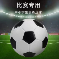足球中考专用儿童足球5号中小学生四号世界杯训练比赛耐磨