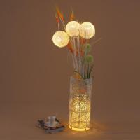 欧式手工编织花藤灯客厅转角沙卧室床头LED橱窗田园遥控落地灯