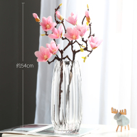 创意大号玻璃瓶透明纳丽雅彩色水培富贵竹百合玫瑰竖棱花瓶客厅插花摆件 (璀璨款)透明+玉兰2支 大