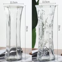 创意大号透明六角玻璃纳丽雅花瓶水养富贵竹百合鲜花插花瓶家用客厅摆件 30六角[平光+梅花] 中等