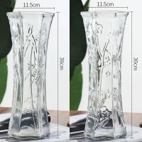 创意大号透明六角玻璃纳丽雅花瓶水养富贵竹百合鲜花插花瓶家用客厅摆件 30六角【竹叶+梅花】 中等