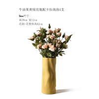 创意花瓶摆件居家客厅纳丽雅插花简约玄关电视柜陶瓷装饰花器轻奢摆设 牛油果黄绿单瓶+4支卡拉泡泡【套装价】