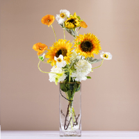 北欧轻奢透明玻璃花瓶纳丽雅家居客厅餐桌水培插花现代简约装饰品摆件 锤纹金边25*10(透明)+B款花艺套装