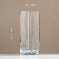 北欧轻奢透明玻璃花瓶纳丽雅家居客厅餐桌水培插花现代简约装饰品摆件 锤纹金边30*10(透明)