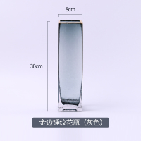 北欧轻奢透明玻璃花瓶纳丽雅家居客厅餐桌水培插花现代简约装饰品摆件 锤纹金边30*8(灰色)