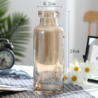 欧式轻奢描金透明玻璃纳丽雅花瓶水培富贵竹玫瑰鲜花北欧客厅插花瓶摆件 阔口款(琥珀色) 大