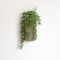 墙上仿真植物装饰半圆多肉壁挂花盆 幼儿园创意墙面绿植挂件 绿色短佛珠+树桩