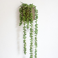 墙上仿真植物装饰半圆多肉壁挂花盆 幼儿园创意墙面绿植挂件 翠绿色绿色长佛珠+树桩