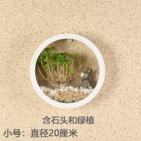 可水培 创意客厅房间品仿真绿植物壁挂墙面上墙壁挂件装饰花盆篮 白色小号套餐
