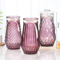 [四件套]北欧创意玻璃花瓶透明水养富贵竹玫瑰花瓶客厅插花摆件 泊森+烟雨+菠萝(酒红色) 大