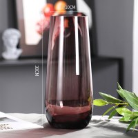 轻奢描金北欧圆筒型简约玻璃花瓶透明水养鲜花客厅花器插花瓶摆件 (HC12款)酒红色 大