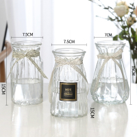 [三件套]玻璃花瓶北欧大号透明水培富贵竹玫瑰插花家用客厅摆件 15贴标+15钻石+15南瓜(透明) 大