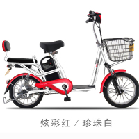 新日清朗二号简易款48V12Ah锂