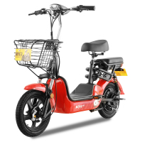 新日米菲简易款48V12Ah铅酸-珍珠白-苏州