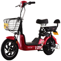 新日米粒简易款48V12Ah铅酸-珍珠白-苏州