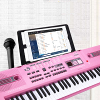 智扣多功能电子琴男女孩儿童初学者61键钢琴家用宝宝3-6-12岁音乐玩具